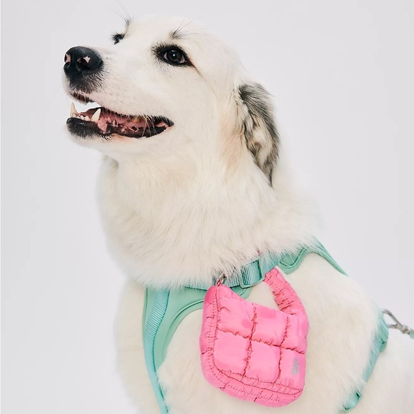 🥳 Free People Live with Amy Kelley!🥳 Like to be notified when I go live - Picture 5 of 13